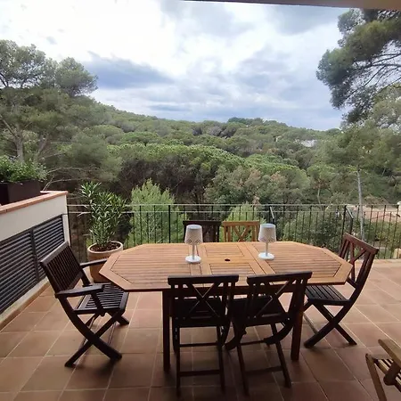 Magnifique Duplex Face A La Foret