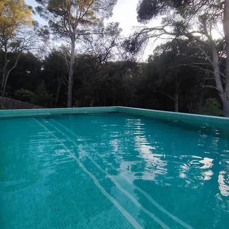 Magnifique Duplex Face A La Foret Begur