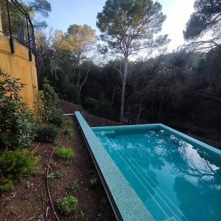 Magnifique Duplex Face A La Foret * 巴古尔
