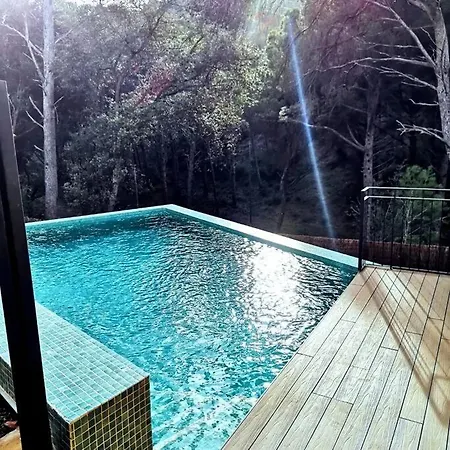 Magnifique Duplex Face A La Foret